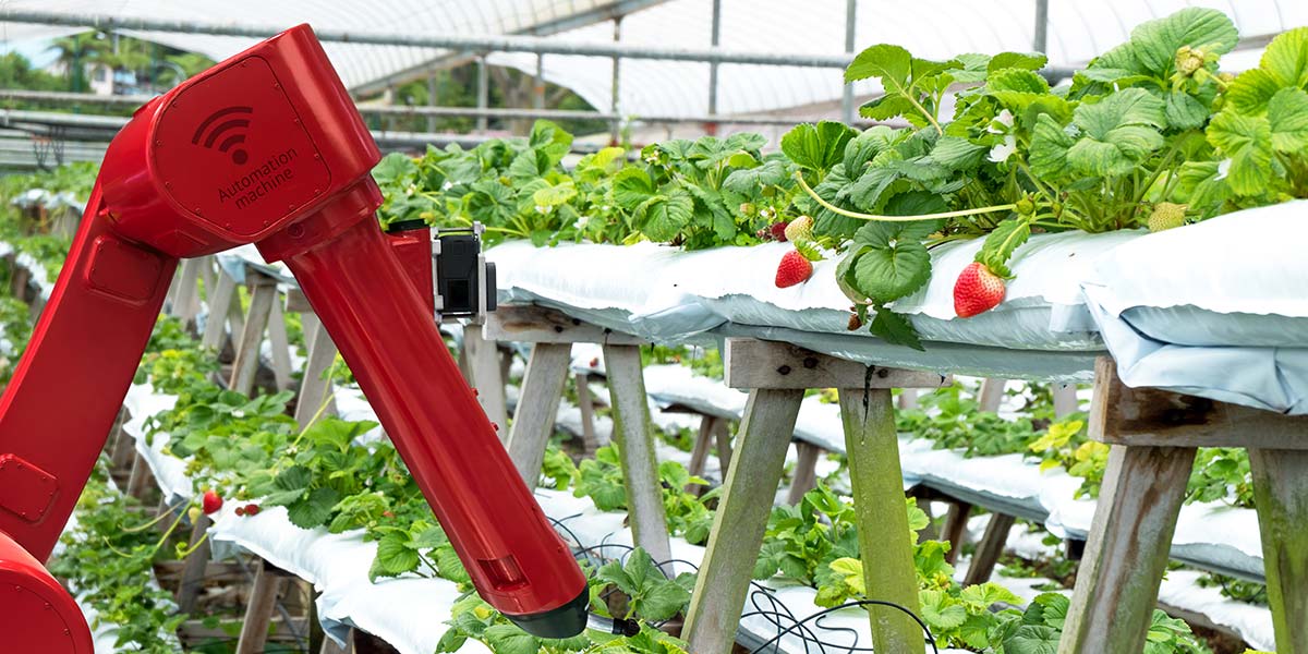 L'agricoltura di precisione è impiegata dal 28,5% delle aziende